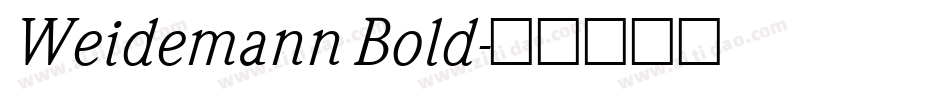 Weidemann Bold字体转换